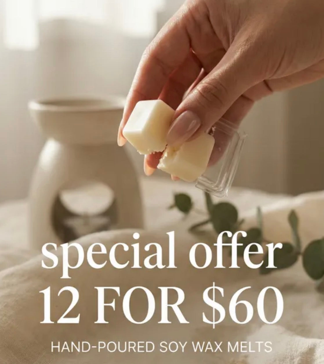 Soy Wax Melts - SPECIAL OFFER 12 for $60